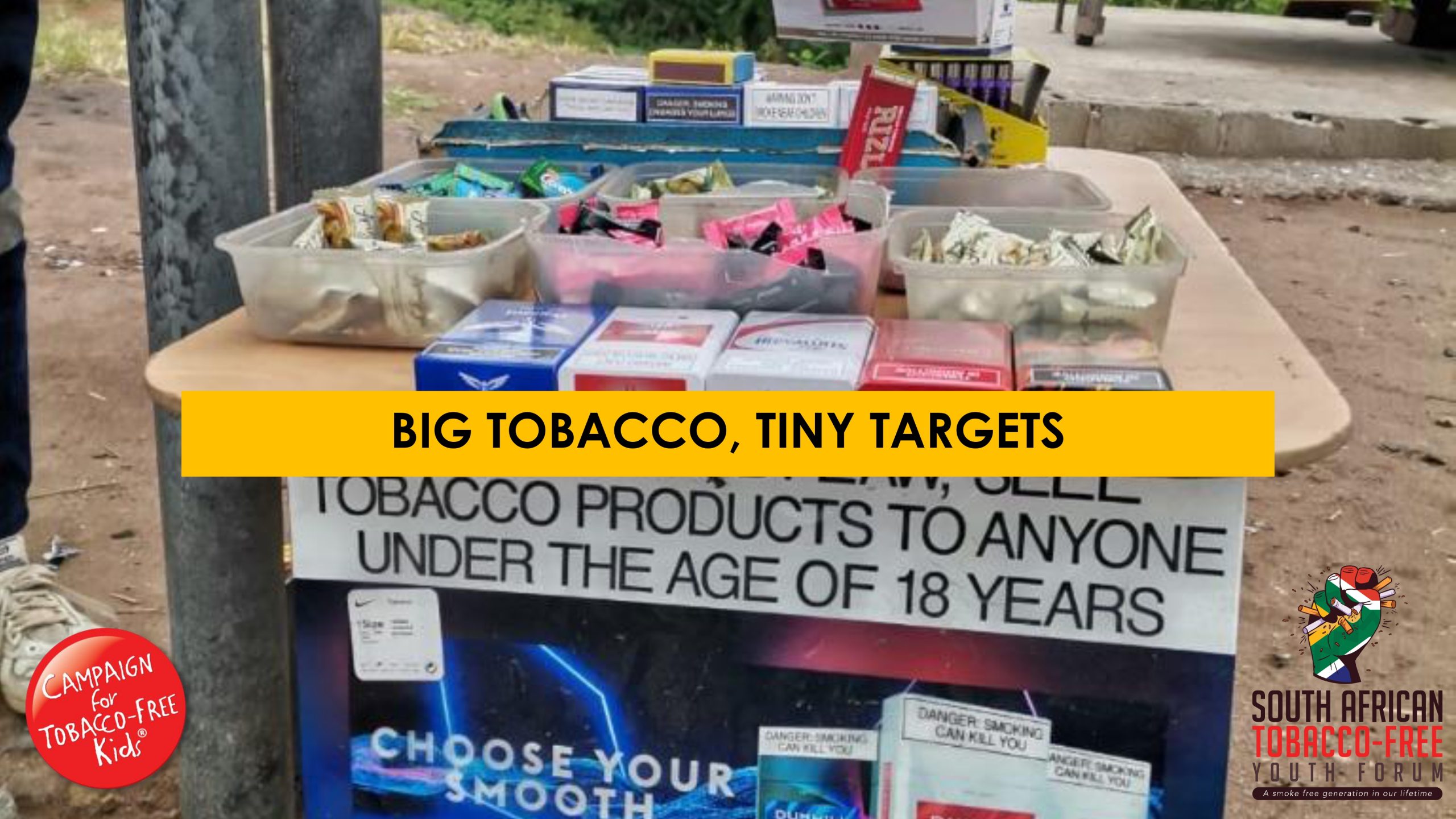Big Tobacco, Tiny Targets South Africa 2023 Fact Sheet South African